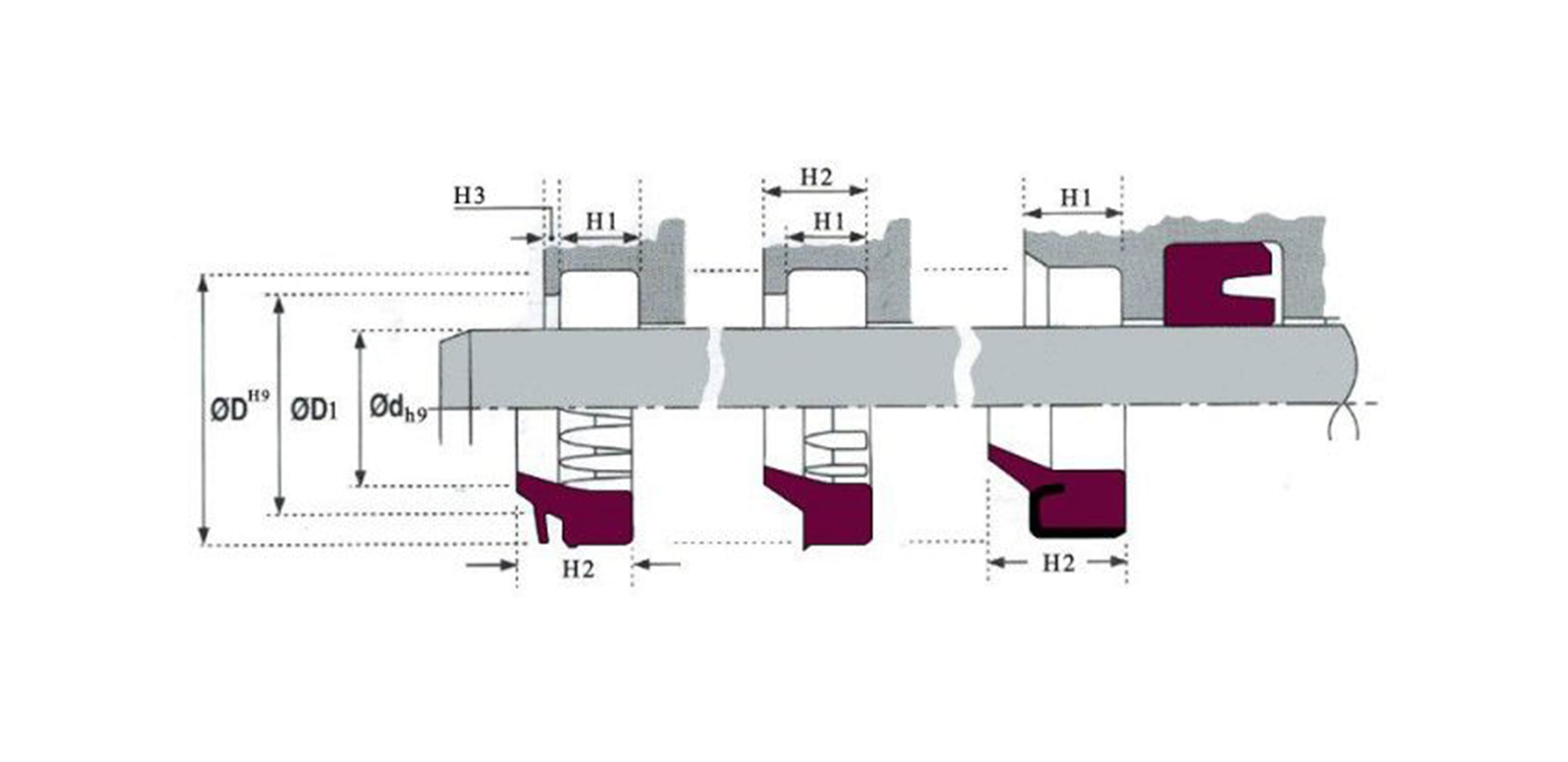 Standard Seals / Flex/Rod Wipers